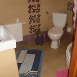 Szyszka Polnica
