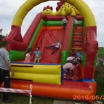 Szyszka Polnica