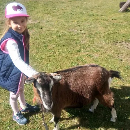 Séjour à la ferme Szyszka Polnica