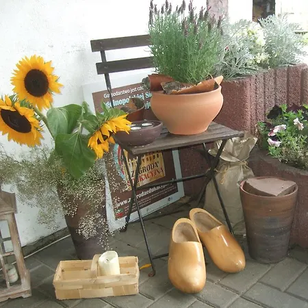 Séjour à la ferme Szyszka *