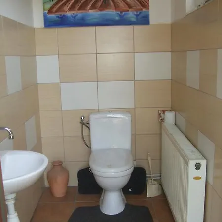 Szyszka * Polnica