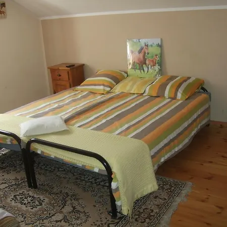 Agroturystyka Szyszka Farm stay *