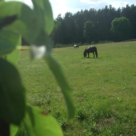 Agroturystyka Szyszka