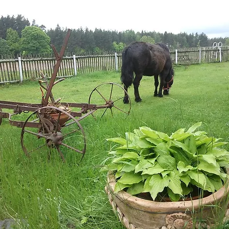 Bauernhof Agroturystyka Szyszka Polnica