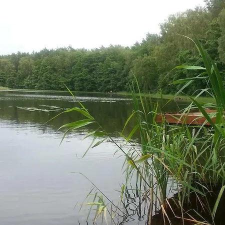 Séjour à la ferme Szyszka Polnica
