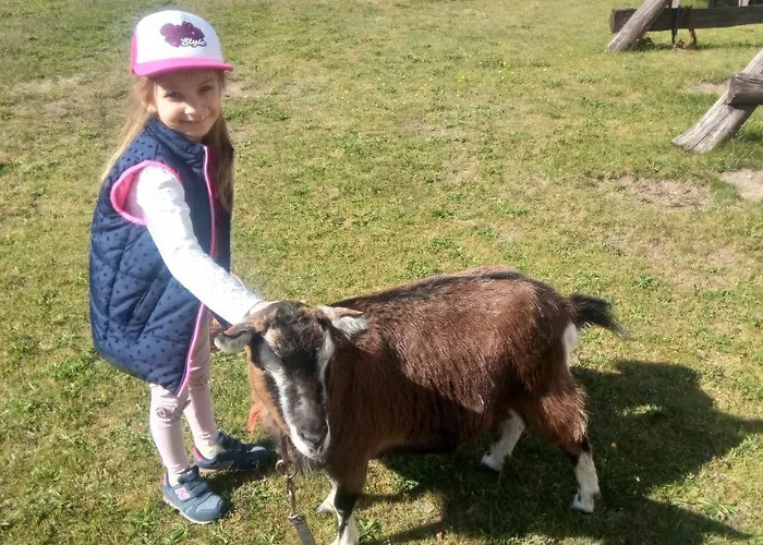 Κατάλυμα σε φάρμα Szyszka Polnica