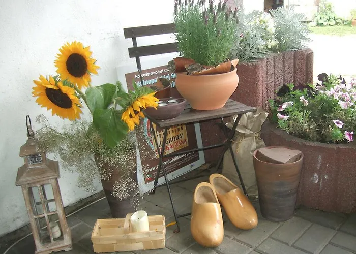 Κατάλυμα σε φάρμα Szyszka *