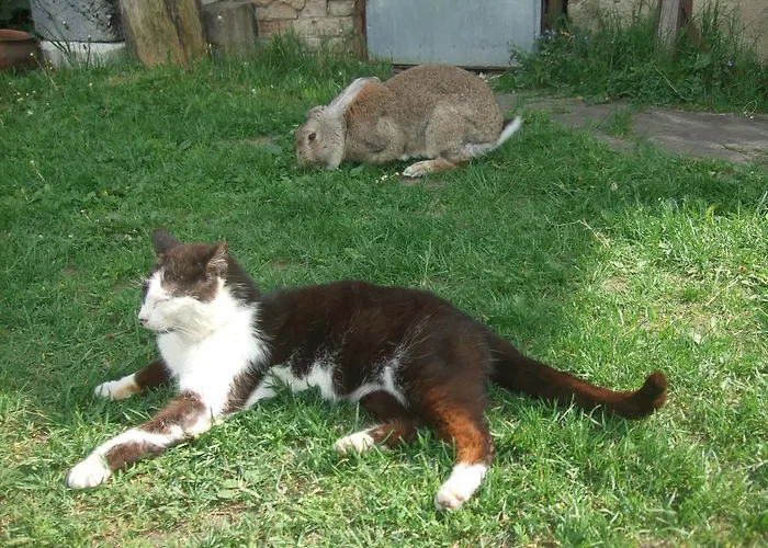 Szyszka Vakantieboerderij *