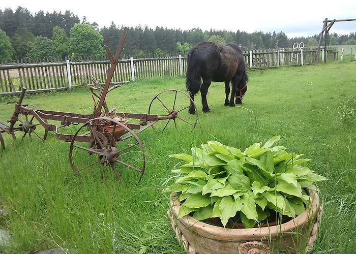 Vakantieboerderij Szyszka Polnica